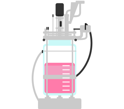 Process 3